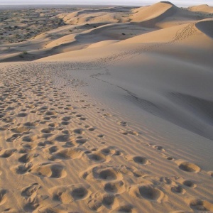 Rig Boland dunes