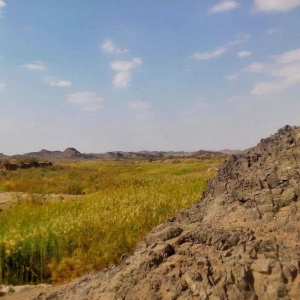 Samsour Desert