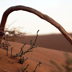 Abu-Ghuyer desert